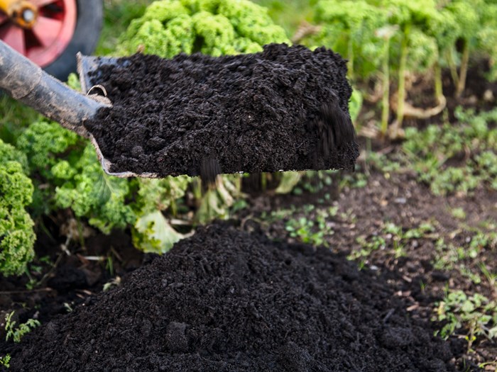 Giv køkkenhaven et lag kompost i det tidlige forår. Foto Frank Kirkegaard