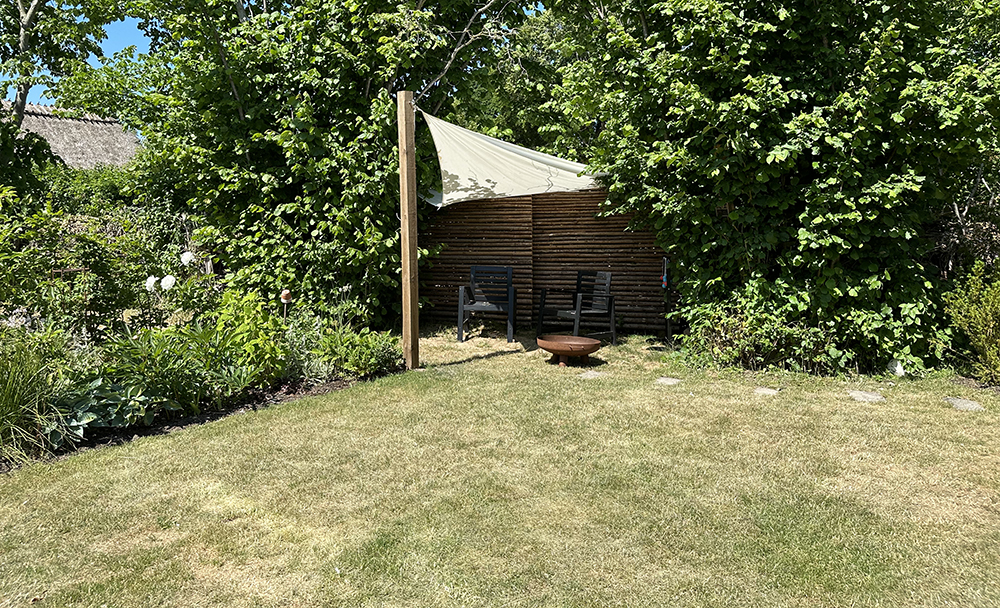 Græsplænen bliver gul når vi oplever længere perioder uden regn. Foto: Haveselskabet