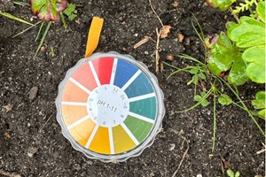 pH-indikatorpapir bruges til at måle jordens pH-værdi. Ligger tallet under syv, er jorden til den sure side, ligger det over syv er den mere basisk. Foto: Haveselskabet