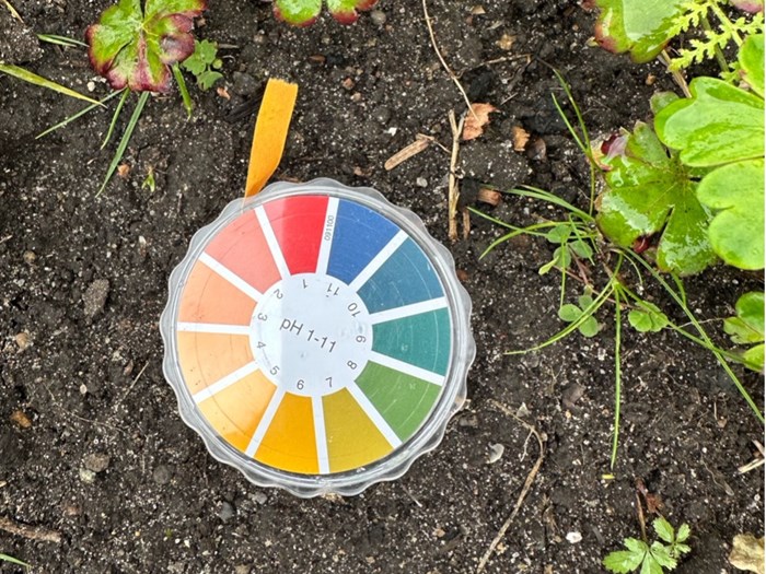 pH-indikatorpapir bruges til at måle jordens pH-værdi. Ligger tallet under syv, er jorden til den sure side, ligger det over syv er den mere basisk. Foto: Haveselskabet