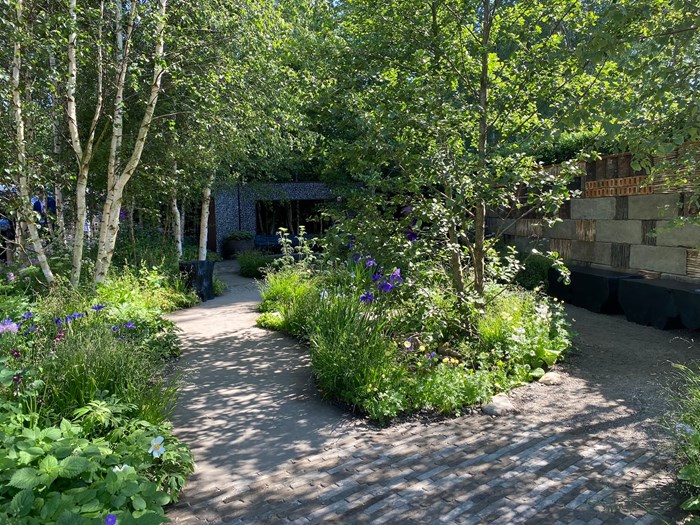 Showhave ved Chelsea Flower Show 2024 designet af Ula Maria. Foto: Haveselskabet