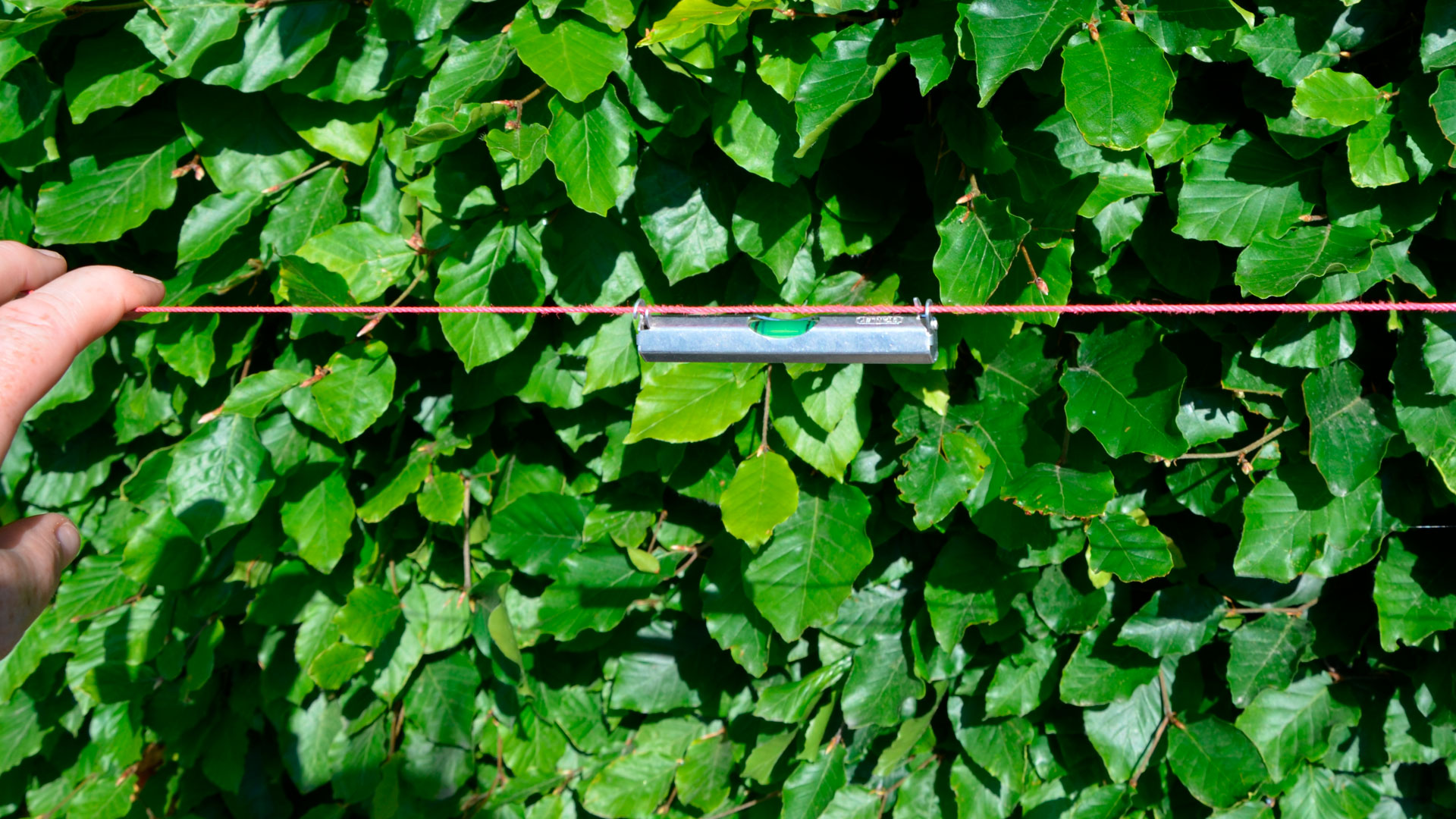 Snorvaterpas. Foto: Haveselskabet