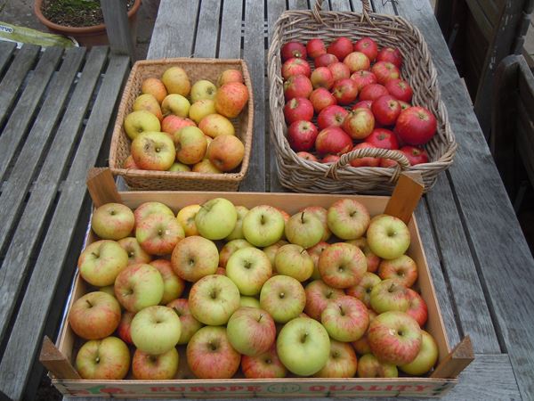 Æbler i kasser. Foto: Flickr/Quisnovus