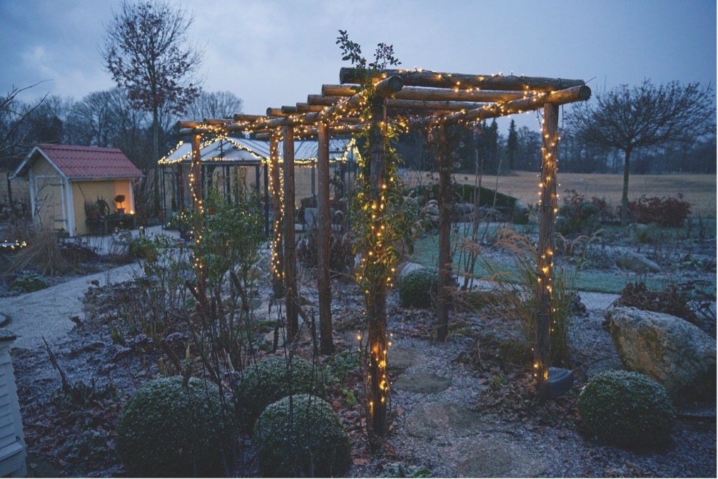 Pergolaen, der tårner sig op over en snoet sti, er viklet ind i lyskæder, der kører med timer. Foto: Thomas Evaldsen