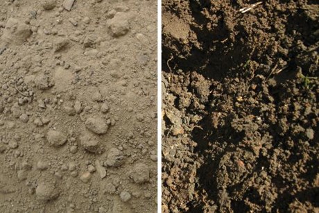 Jordens farve afslører indholdet af humus. Til venstre ses en jord med lavt humusindhold. Til højre er der et højt indhold af humus. Foto: Flickr