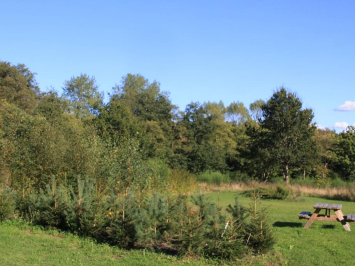 Nordens Lund ved Arboretet
