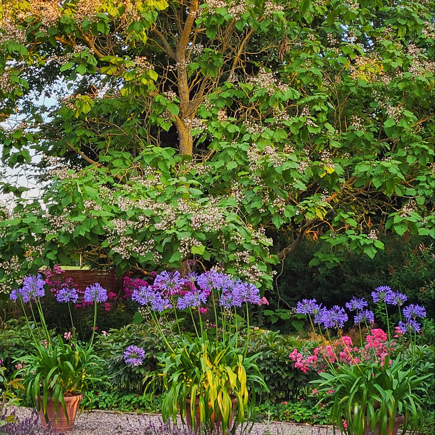 Foto: Daniel R. Foldager