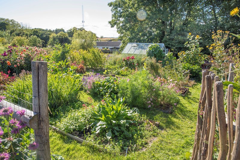 Køkkenhaven i Askely Cottagehave er anlagt med 10 mindre og 16 store højbede på 400 kvadratmeter, der skråner mod vest Højbedene giver vandrette dyrkningsflader og letter arbejdet med at jordforbedre og luge ukrudt. Der graves så lidt som muligt i jorden for at bevare den gode jordstruktur, der er opnået gennem løbende jordforbedring af stedets stive lerjord.