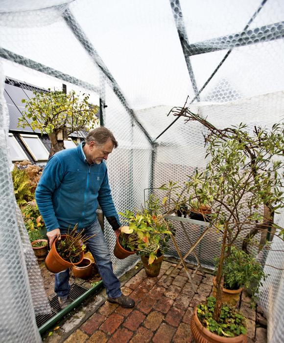 Isolering af drivhus. Foto: Flemming Jeppesen