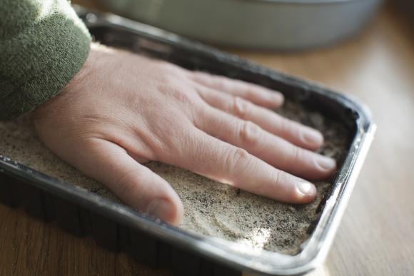 Frøene trykkes ned mod såjorden. Foto: Frank Kirkegaard