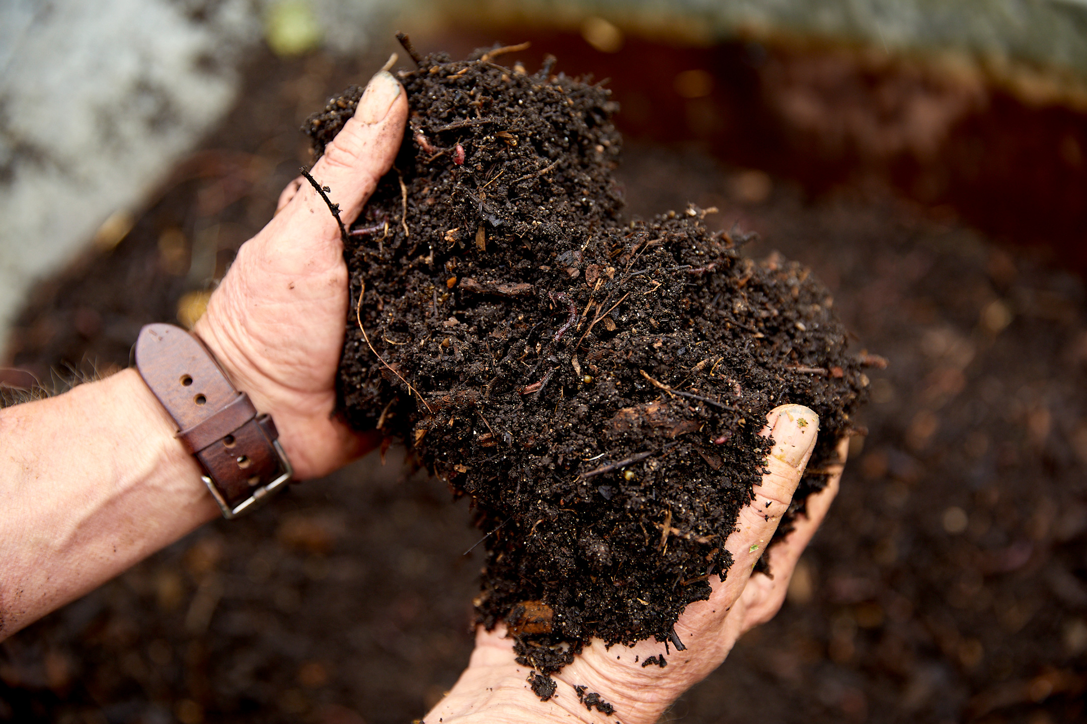 Kompost. Foto: Thomas Evaldsen