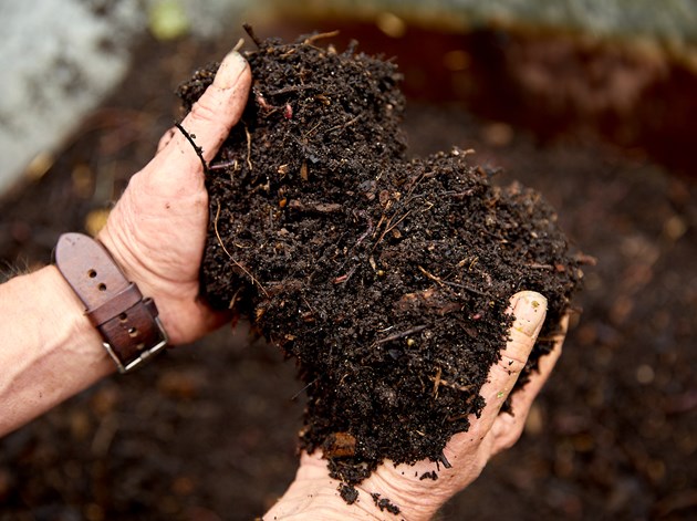 Kompost. Foto: Thomas Evaldsen