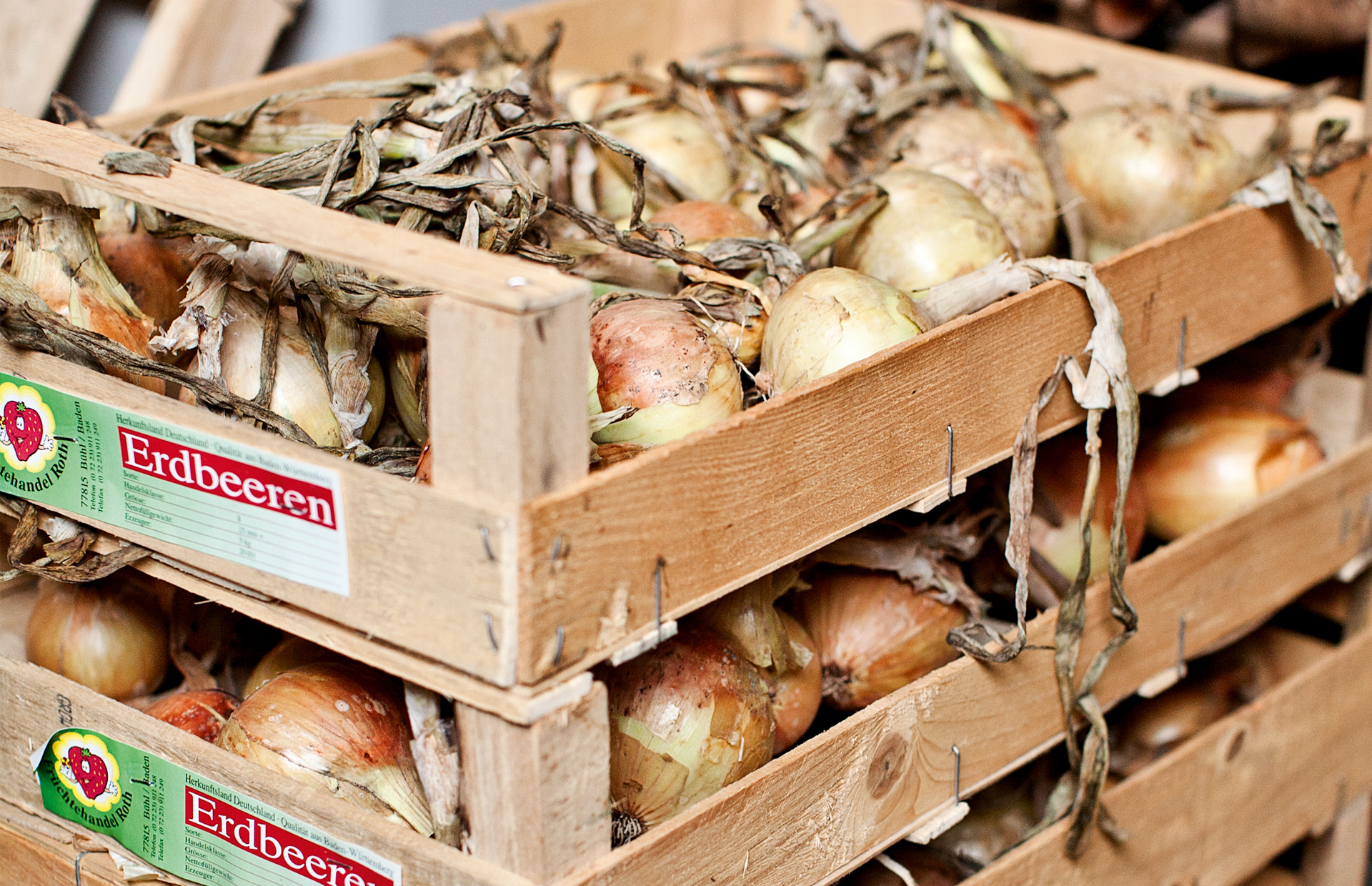 Løg opbevaret i trækasser. Foto: Frank Kirkegaard