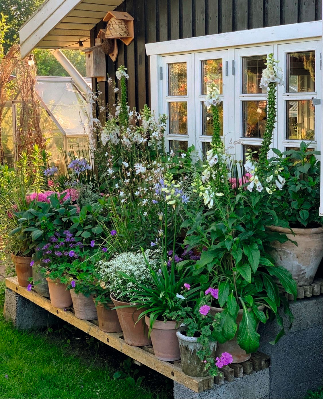 Der er utallige muligheder for at indrette sin have med krukker på forskellig vis. Foto: Mathias Emil Pedersen