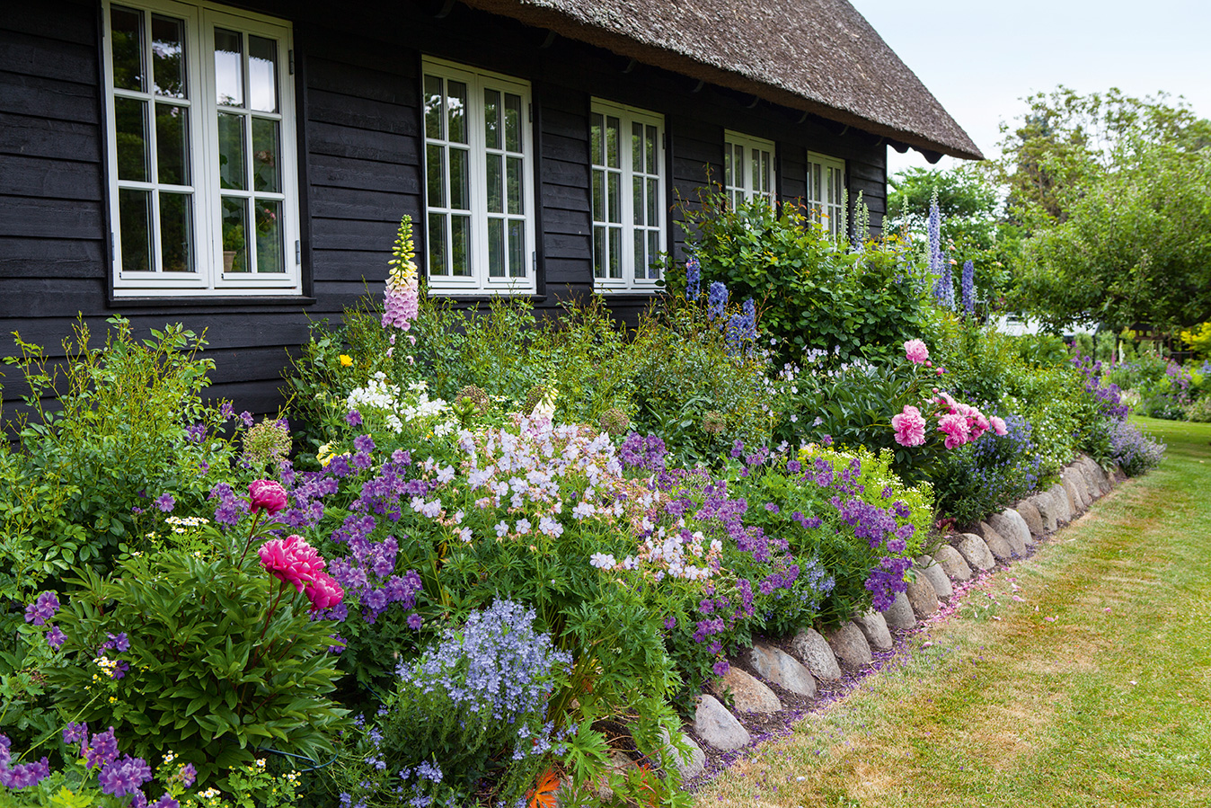 Staudebed i havearkitekt Helle Troelsens Have. Foto: Stuart McIntyre