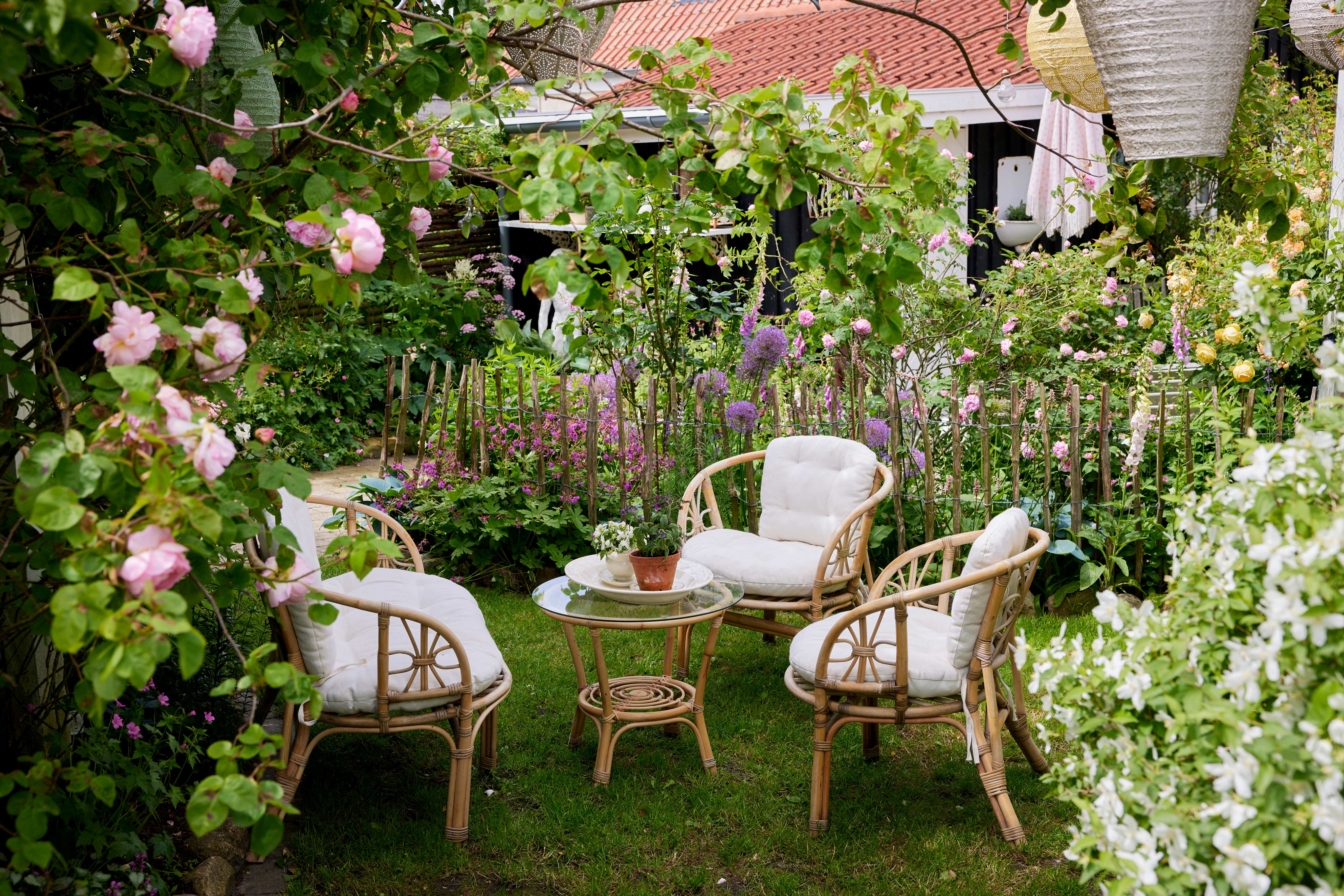 På en lille grøn plet i haven er der sat møblement op, og gennem et let kastanjehegn har man kig ind til et bed med roser, prydløg, fingerbøl, hostaer mm. Foto: Thomas Evaldsen