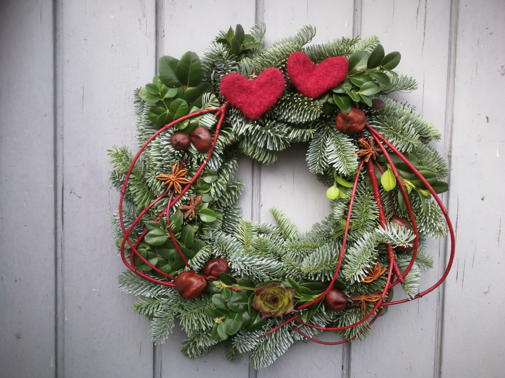 Julepyntet dørkrans af gran og buksbom pyntet med stjerneanis, kastanjer og grene af kornel. Foto: Haveselskabet
