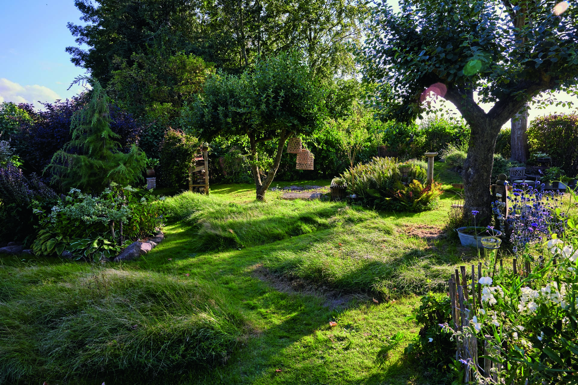 Områder med langt græs og klippede stier. Foto: Thomas Evaldsen
