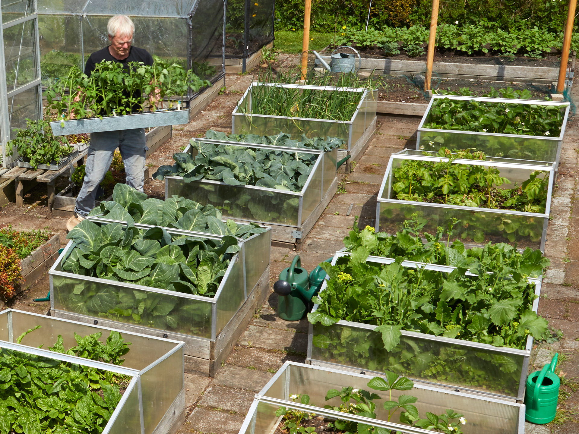 Højbede hos Peter Norris. Foto: Thomas Evaldsen